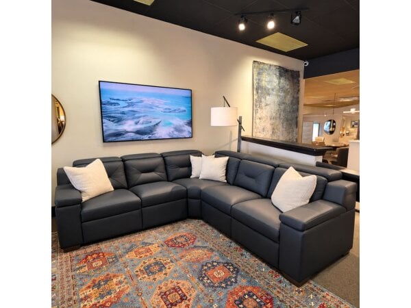apex sectional