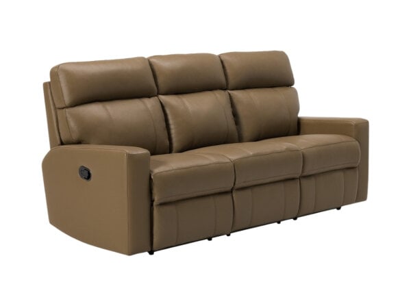 oakwood reclining sofa