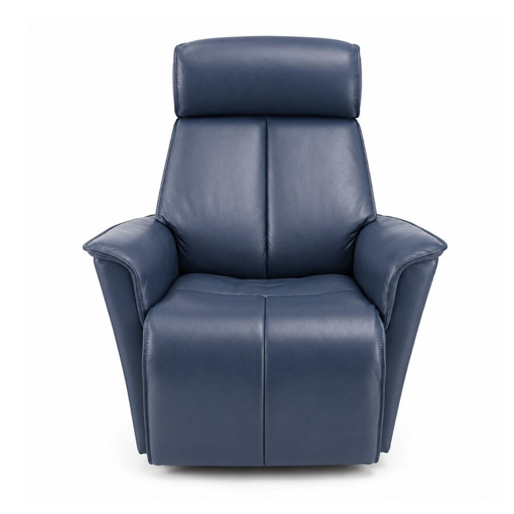 venice small swing relaxer motorized