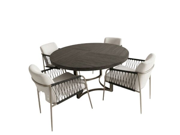 dining table & 4 chairs