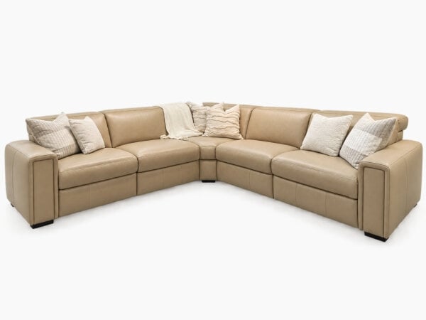 titan sectional (copy)
